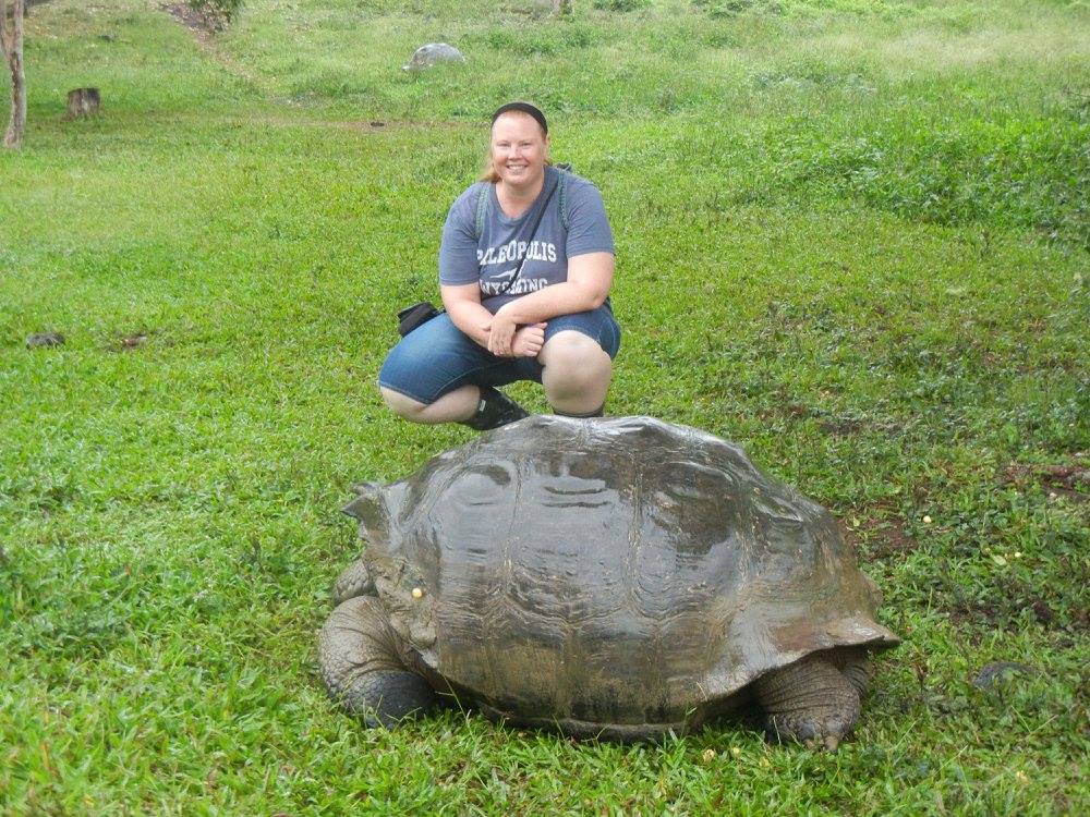 A giant tortoise on Santa Cruz Island, Galápagos